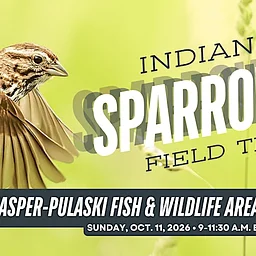 Indiana Audubon Sparrow ID Field Trip: Jasper-Pulaski FWA