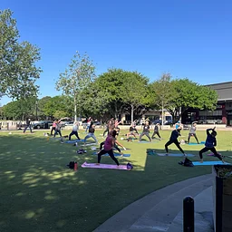 Friday Yoga on the Green
