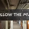 Follow the Muse
