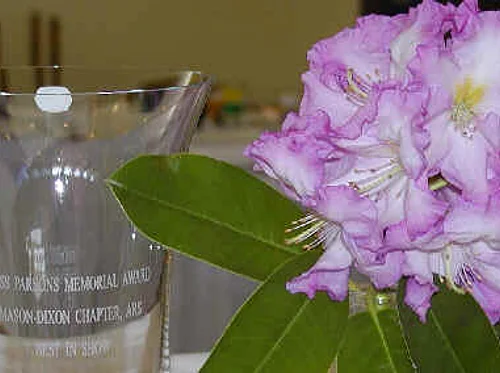 May 9th – Mason Dixon Rhododendron Society Show and Sale