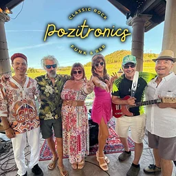 MUSIC + WINE SERIES FEATURING Pozitronics & Halloween Party🎃🎶👻
