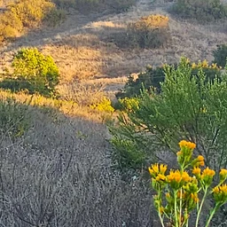 10,000 Steps Hikes