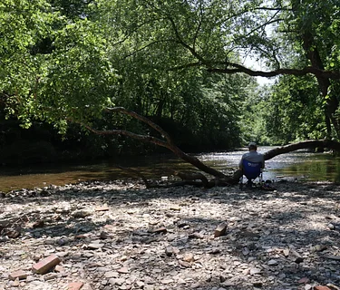 Spring Woodland Artists Gathering with Jean McWilliams, Jane Klein, Stephanie Stein, and Stan Kozakowski
