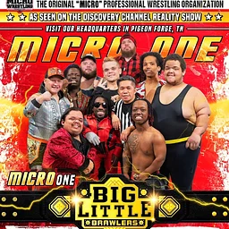 Micro One Wrestling
