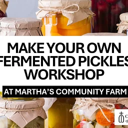 Make Your Own Fermented Pickles Workshop