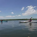 Kayak the Salt Marsh