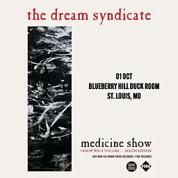 The Dream Syndicate