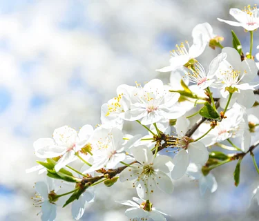 Creative Explorers Family Day: “Spring Poetry”