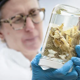 Spooky Science and Freaky Finds