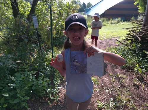 Sunfish Explorers: Forest Friends (Day 1 of 4) FULL