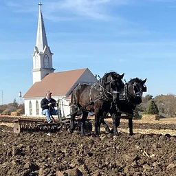 Draft Horse Plow Day