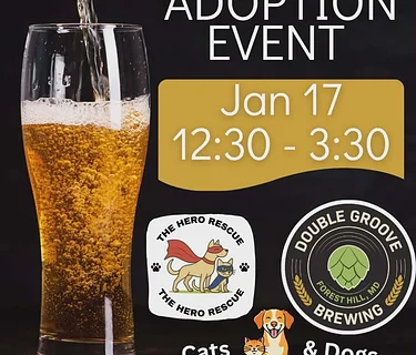 Adoption Event with The Hero Rescue