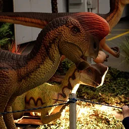 Dinosaur Adventure
