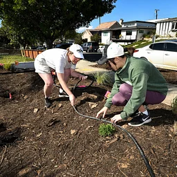 Irrigation & Controller Basics: Smart Watering