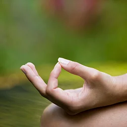 Guided Meditation Evenings with Tarika Lovegarden: Thankful Heart: Opening to Joy and Fulfillment