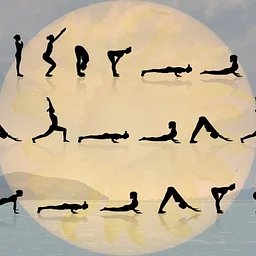 Winter Solstice 108 Sun Salutations Practice with George Garland