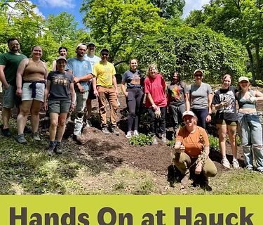 Hands On at Hauck