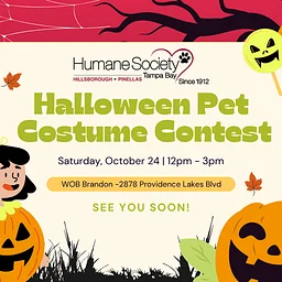 Pups & Pumpkins Costume Contest – WOB Brandon
