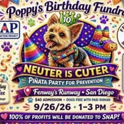SNAP – Poppy’s Party for Prevention