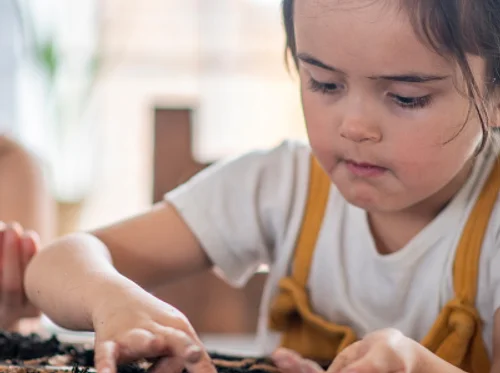 Seeds & Their Needs! · April Seeds to Sprouts