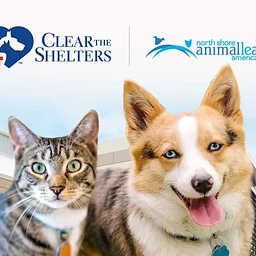 Clear the Shelters Adoption Special