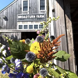 Classical Yoga | Flow at the Farm