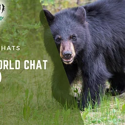 New World Chat (Bear)