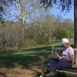 Nature(+)6: Beginning Observational Drawing