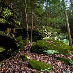 Yoga Hike at Ledges Trailhead