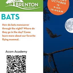 Acorn Academy (Ages 6 and up)