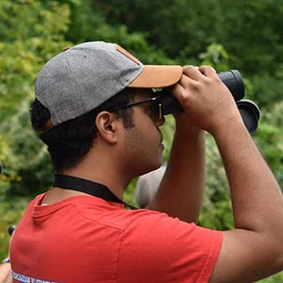 Fall Birding Along The Concord River Greenway
