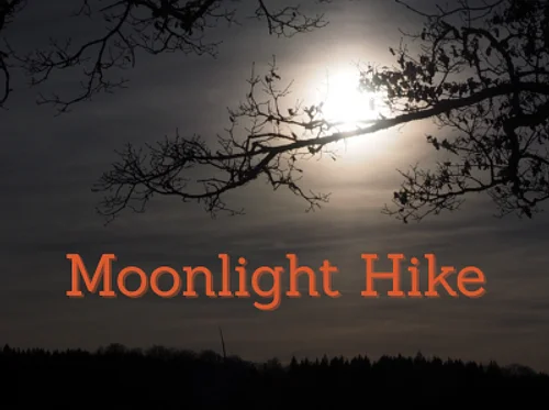 Moonlight Hike