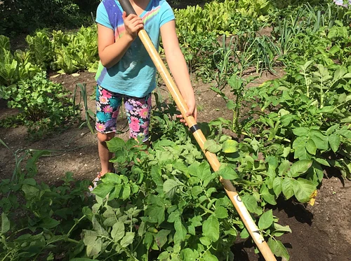 Daring Discoveries Camp