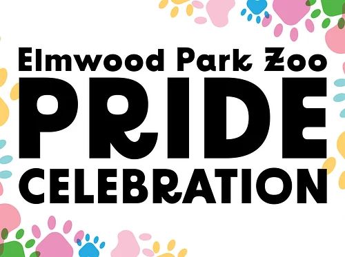 Pride Celebration