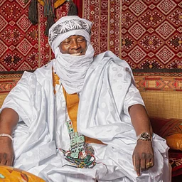 Vieux Farka Touré