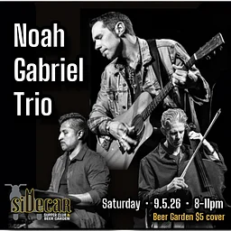 Noah Gabriel Trio