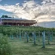 The Vineyard & Brewery at Hershey