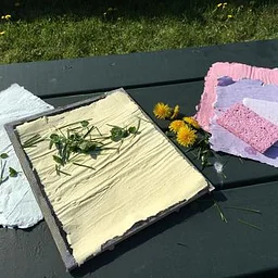 Adult Paper Making