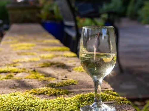 Trillium and Wine: Complementary Pairings