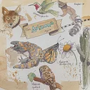 Watercolor Sketchbook Journaling