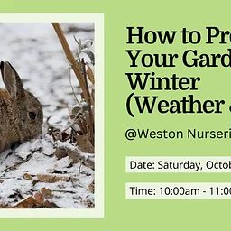 How to Protect Your Garden this Winter From Animals & Weather *Free Event*