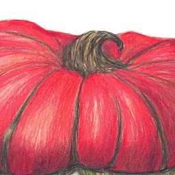 Botanical Illustration Intensive: Gorgeous Gourds in Colored Pencil