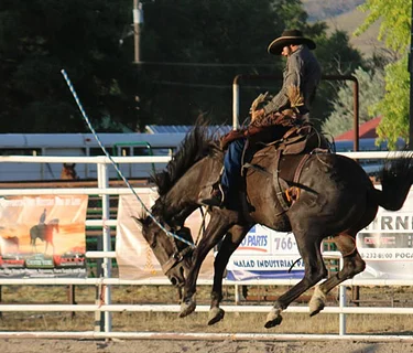 Bannock County Fair & Rodeo