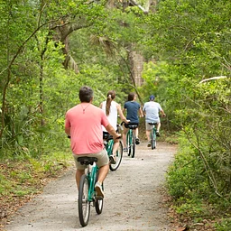Wildlife in the Wetlands Bike Tour