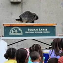 Squam Lake Science Center presenting “Animals with Bad Reputations”