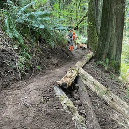 Eagle Fern County Park–PDX (trail rehabilitation)