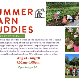 August 24 - August 28: Summer Barn Buddies