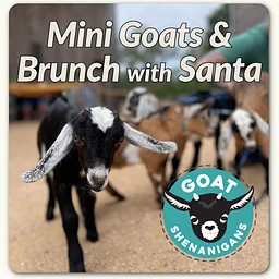 Santa & Mini Goat Snuggles with Goat Shenanigans