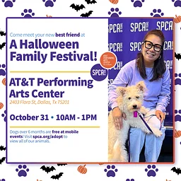 Mobile Adoptions at the Halloween Family Festival