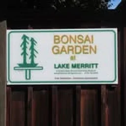 Bonsai Garden at Lake Merritt